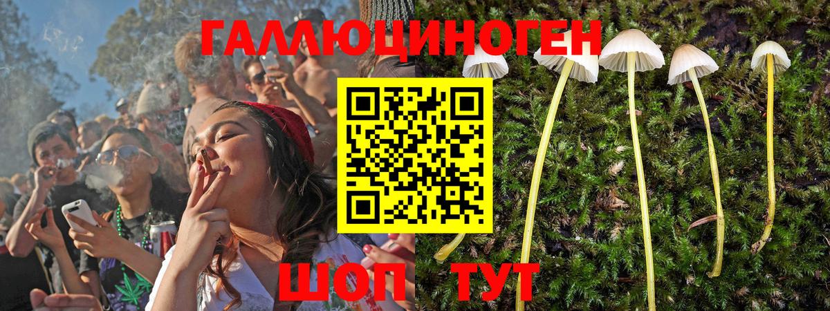 Псилоцибиновые грибы Magic Shrooms Прокопьевск
